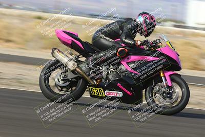 media/Dec-17-2022-SoCal Trackdays (Sat) [[224abd9271]]/Turn 16 Exit (1110am)/